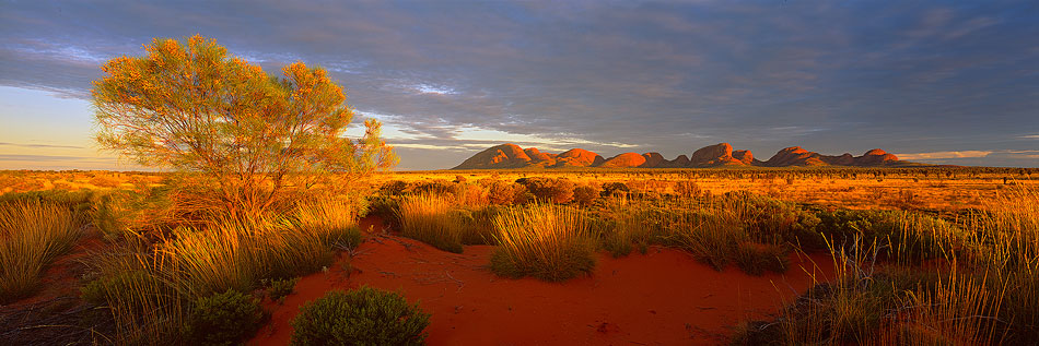 Kata Tjuta Photos, The Olga's Prints